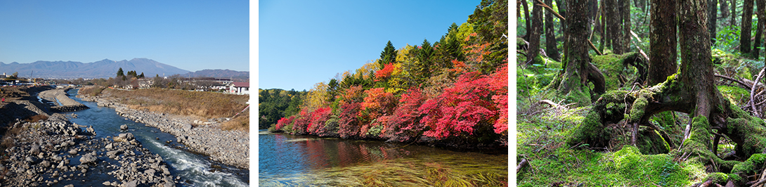 信州・佐久の風景