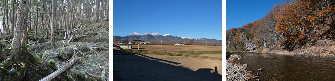 信州・佐久の風景